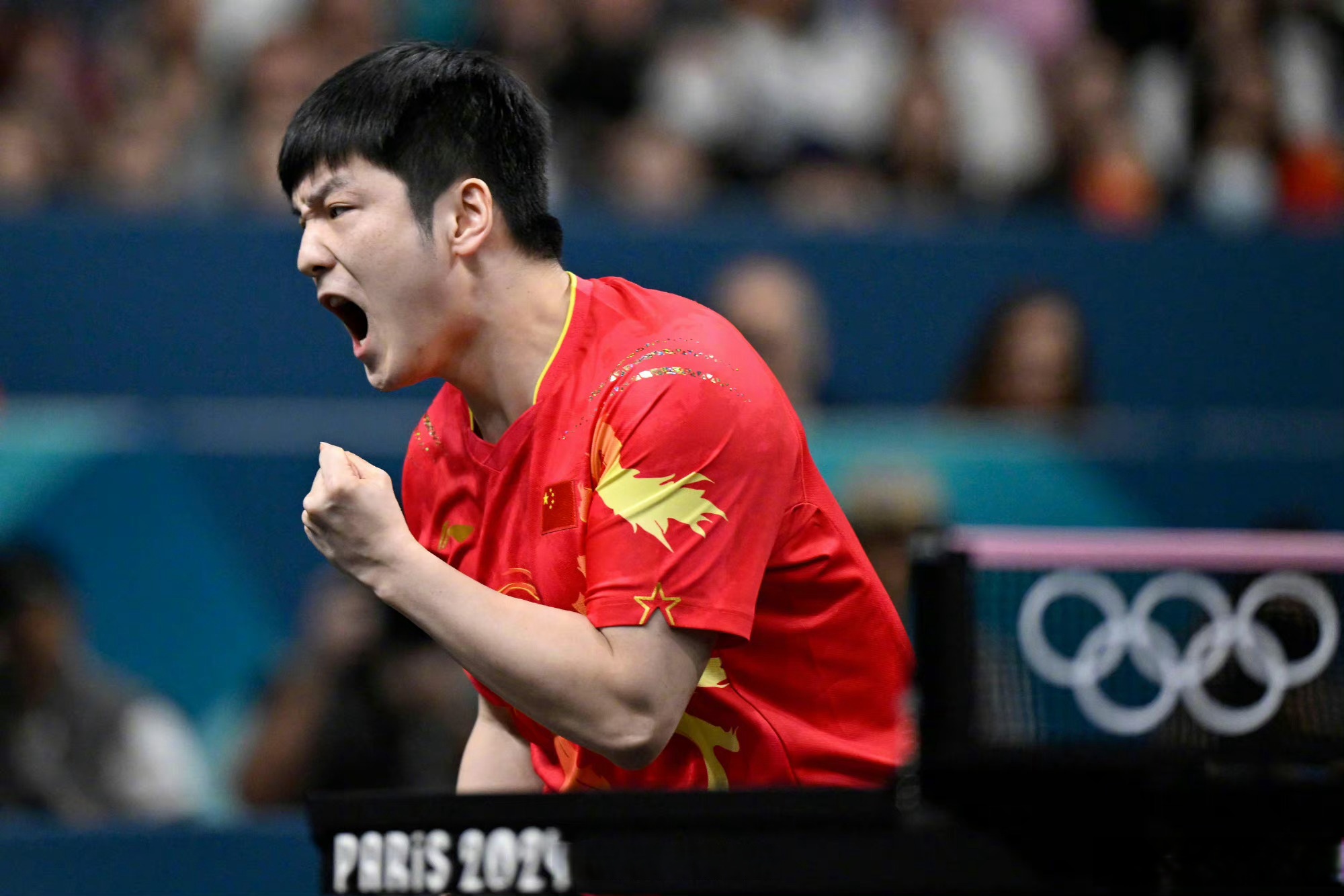 法国队横扫奥地利队，樊振东高光表现