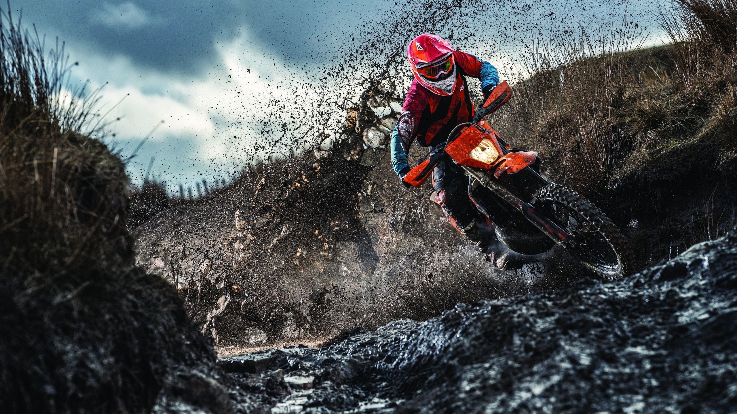 当莱比锡红牛的铁蹄踏碎荷兰郁金香,NBA季后赛的跨时空启示